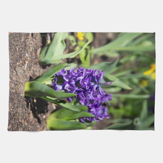 Blue Geocinth im Frühjahr Geschirrtuch (Horizontal)