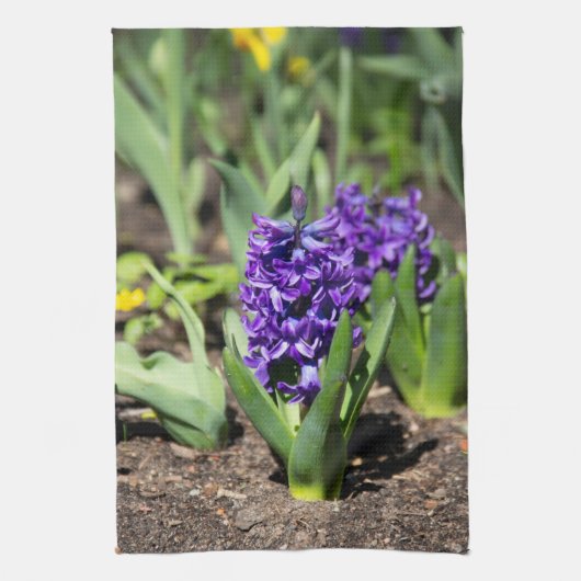 Blue Geocinth im Frühjahr Geschirrtuch (Vertikal)