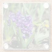 Blue Geocinth im Frühjahr Glasuntersetzer (Rückseite)