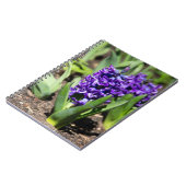 Blue Geocinth im Frühjahr Notizblock (Linke Seite)