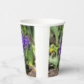 Blue Geocinth im Frühjahr Pappbecher (Rechts)