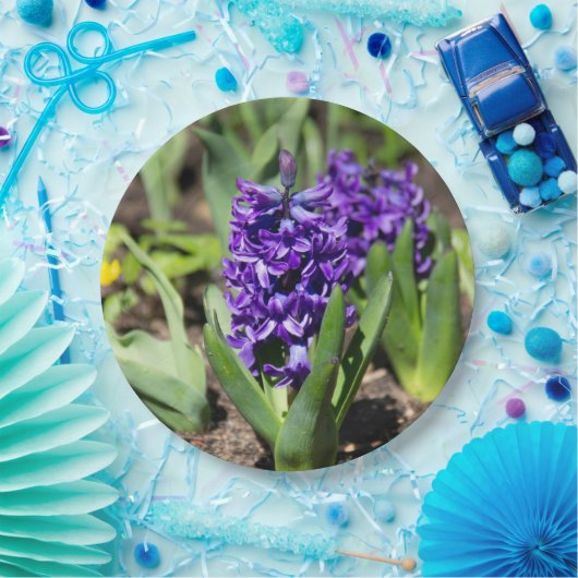 Blue Geocinth im Frühjahr Pappteller (Party)