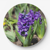 Blue Geocinth im Frühjahr Pappteller (Vorderseite)