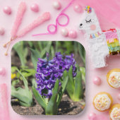 Blue Geocinth im Frühjahr Pappteller (Party)