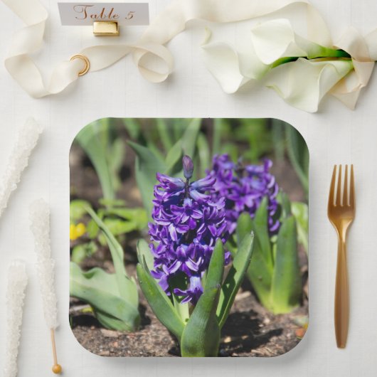 Blue Geocinth im Frühjahr Pappteller (Hochzeit)