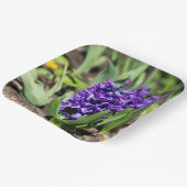 Blue Geocinth im Frühjahr Pappteller (Gewinkelt)