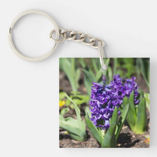 Blue Geocinth im Frühjahr Schlüsselanhänger (Vorderseite)