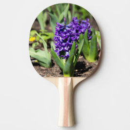 Blue Geocinth im Frühjahr Tischtennis Schläger