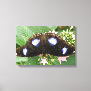 Blue Gepunktet Butterfly Canvas Print Leinwanddruck