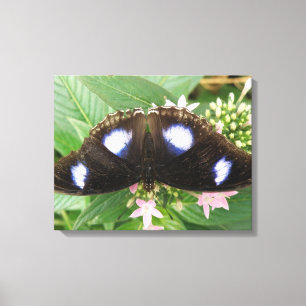 Blue Gepunktet Butterfly Canvas Print Leinwanddruck