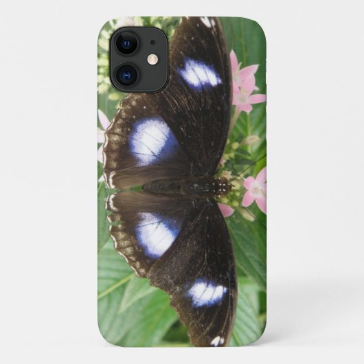 Blue Gepunktet Butterfly iPhone Case (Rückseite)