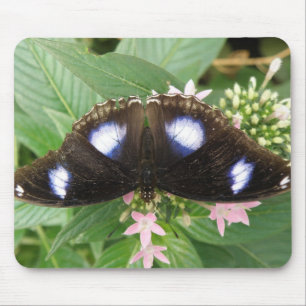 Blue Gepunktet Butterfly Mousepad