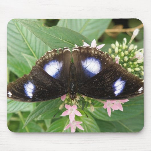 Blue Gepunktet Butterfly Mousepad (Vorne)