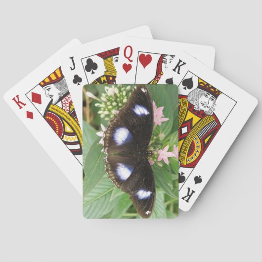 Blue Gepunktet Butterfly Playing Cards Spielkarten (Rückseite)
