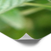 Blue Gepunktet Butterfly Print Poster (Ecke)