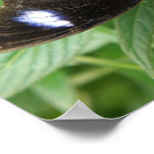 Blue Gepunktet Butterfly Print Poster (Ecke)