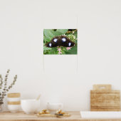Blue Gepunktet Butterfly Print Poster (Küche)