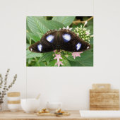 Blue Gepunktet Butterfly Print Poster (Küche)