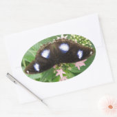 Blue Gepunktet Butterfly Stickers (Umschlag)