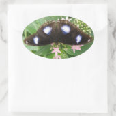 Blue Gepunktet Butterfly Stickers (Tasche)