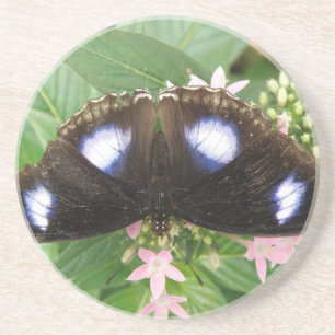 Blue Gepunktet Butterfly Untersetzer