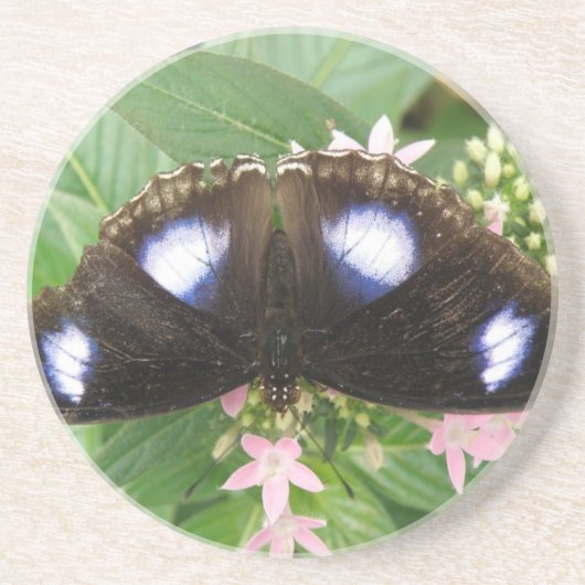 Blue Gepunktet Butterfly Untersetzer (Vorne)