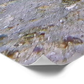 Blue Gepunktet Stingray Poster (Ecke)