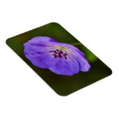 Blue Geranium Blume Magnet (Rechte Seite)