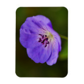 Blue Geranium Blume Magnet (Vertikal)