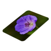 Blue Geranium Blume Magnet (Linke Seite)