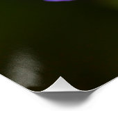 Blue Geranium Blume Poster (Ecke)