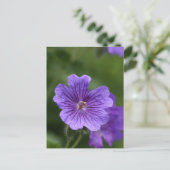 Blue Geranium Postkarte (Stehend Vorderseite)