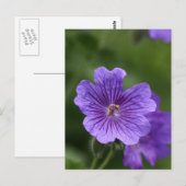 Blue Geranium Postkarte (Vorne/Hinten)