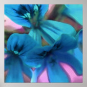 Blue Geraniums Poster (Vorne)