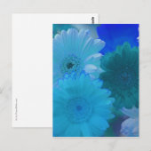 Blue Gerbera Daisy Blume Foto Postcard Postkarte (Vorne/Hinten)