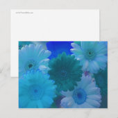 Blue Gerbera Daisy Blume Foto Postkarten (Vorne/Hinten)