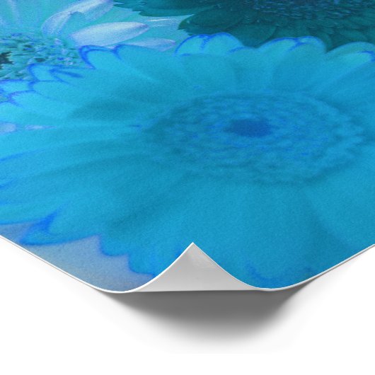 Blue Gerbera Daisy Blume Wall Art Print Poster (Ecke)