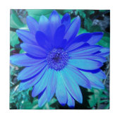 Blue Gerbera Daisy Tile Fliese (Vorderseite)