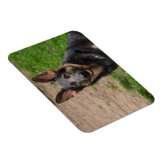 Blue German Shepherd Dog Magnet (Rechte Seite)