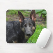 Blue German Shepherd Mousepad (Mit Mouse)