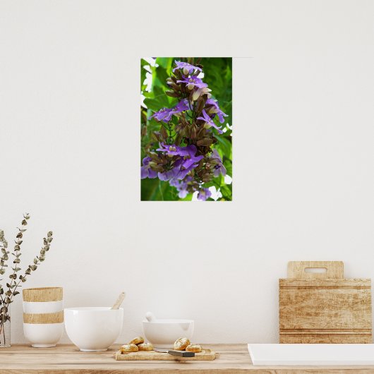 Blue Ginger Poster (Küche)