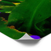 Blue Ginger und Bougainvillea Poster (Ecke)