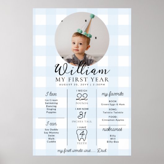 Blue Gingham First Birthday Milestone Timeline Poster (Vorne)