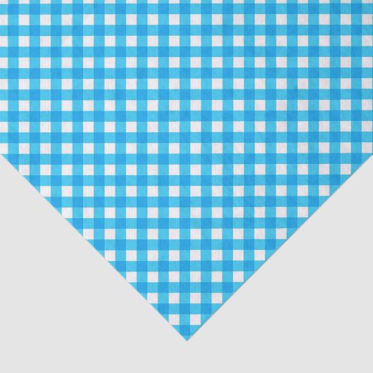 Blue Gingham Pattern Seidenpapier (Ausschnitt)