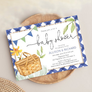 Blue Gingham Picnic Baby Dusche Picnic im Park Einladung