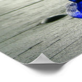 Blue Glass Rooster Poster (Ecke)