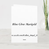 Blue Glow Marigold Custom Grußkarte Karte (Rückseite)