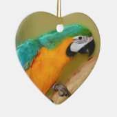 Blue Gold Macaw Parrot Bird Ornament (Rechts)