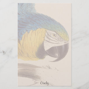 Blue Gold Macaw Parrot Bird Wildlife Stationierung Briefpapier