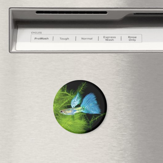 Blue Grass Guppy Magnet (In Situ (Geschirrspüler))